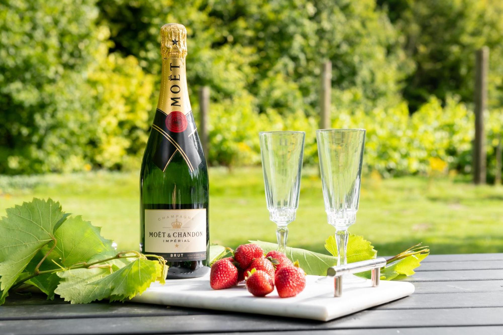 Downwood Vineyard Manor In Idyllic Countryside Villa แบลนด์ฟอร์ดฟอรัม ภายนอก รูปภาพ