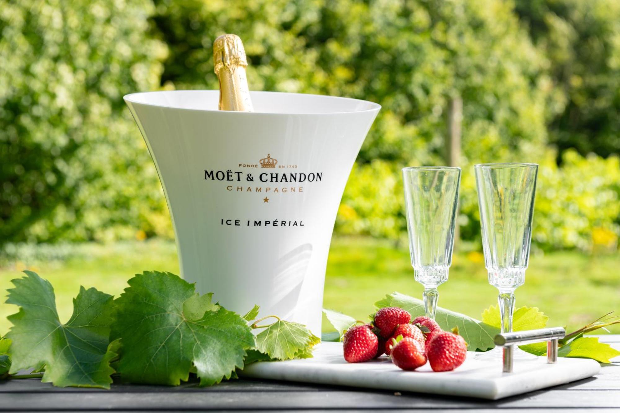 Downwood Vineyard Manor In Idyllic Countryside Villa แบลนด์ฟอร์ดฟอรัม ภายนอก รูปภาพ